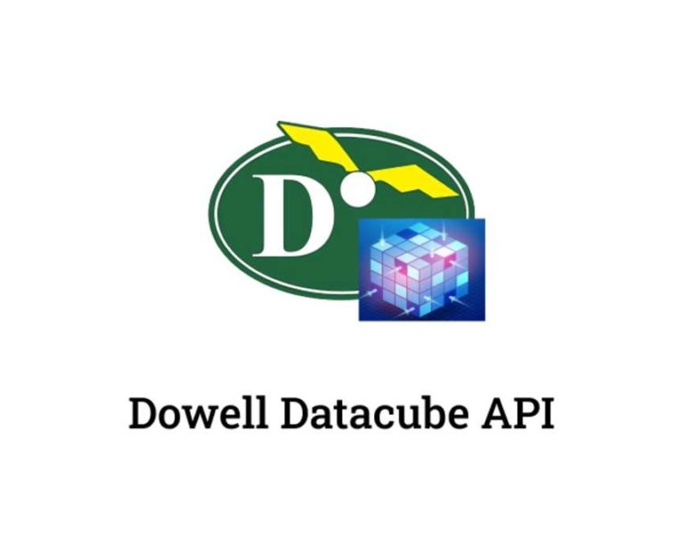 Dowell Data Cube API