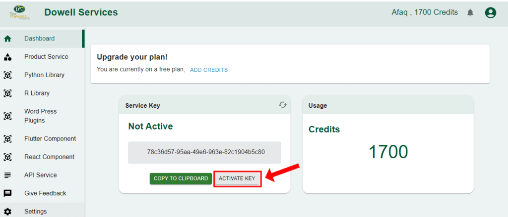 Click On Activate Key Button In Dowell Services